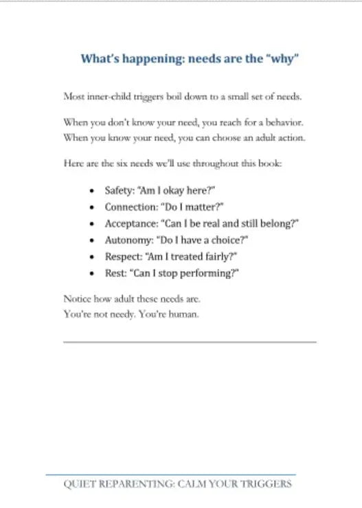 Strona książki z listą sześciu podstawowych potrzeb dorosłych, pogrubione tytuły, tekst w języku angielskim.