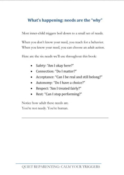 Strona książki z listą sześciu podstawowych potrzeb dorosłych, pogrubione tytuły, tekst w języku angielskim.